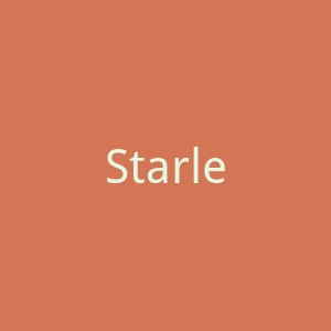 Starlette Galleria 美国奢华仿钻戒指购物网站官网