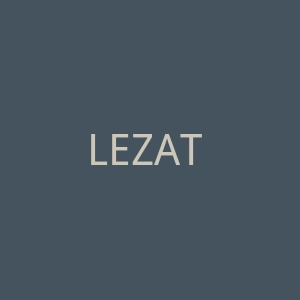 LEZAT 美国时尚休闲女装品牌官方网站官网