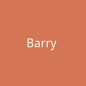 Barry Wang 美国优质男装西装领带领结购物网站官网