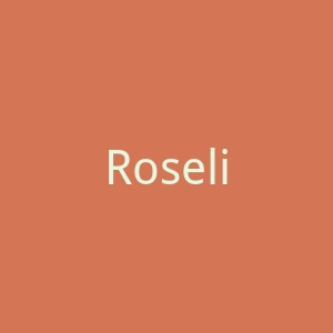 Roselili 清新时尚女装购物网站官网