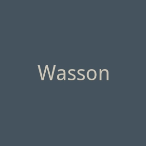 Wasson Watch 美国自动野战手表购物网站官网
