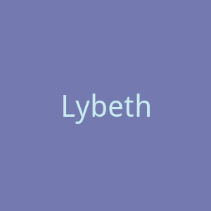 Lybethras 美国比基尼和泳装海淘购物网站官网