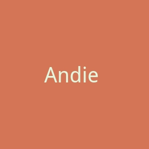 Andie 美国女性泳装品牌购物官方网站官网