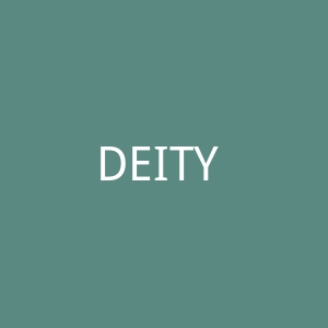 DEITY New York 时尚女装品牌购物网站官网