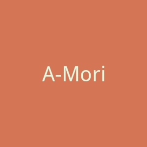 A-Morir 美国设计师眼镜配饰官方网站官网