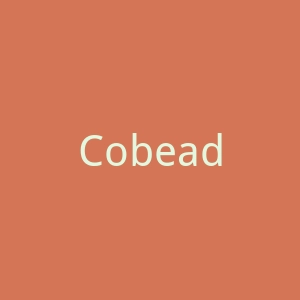 Cobeads 美国串珠小饰品购物网站官网