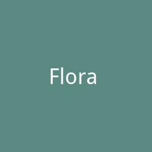 Flora Animalia 美国有机棉女装品牌购物网站官网