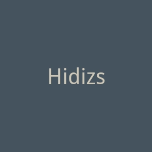Hidizs海帝思官方网站官网