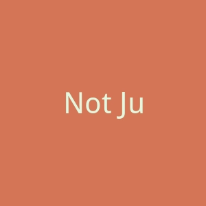 Not Just Leather 瑞典个性皮革制品定制网站官网