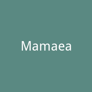 Mamaearth 印度护肤品牌海淘购物网站官网