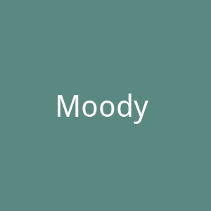 Moody Tiger 英国儿童运动服装品牌官方网站官网