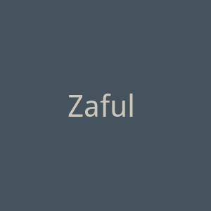 Zaful 中国服装和配饰品牌购物网站官网