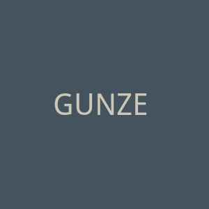 GUNZE 日本丝袜品牌购物官网