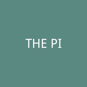 THE PITCH - FOOTBALL STORE 足球鞋和服装商店官网