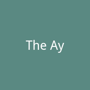 The Ayurveda Experience 印度阿育吠陀体验网站官网