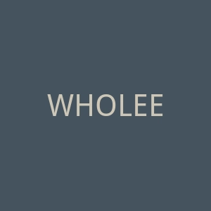 WHOLEE跨境电商出口平台官网