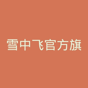 雪中飞官方旗舰店官网