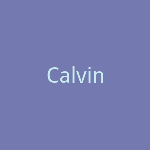 Calvin Klein 美国官方网站官网