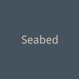Seabedee 海贝迪CBD 软糖CBD油品牌网站官网
