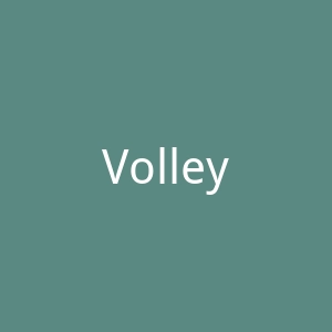 Volley Shoes 澳大利亚时尚鞋子海淘网站官网