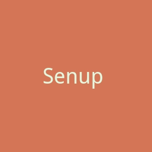Senup 比利时成人尿布海淘购物网站官网