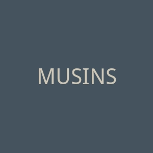 MUSINSA STORE 精品时尚在上商城官网