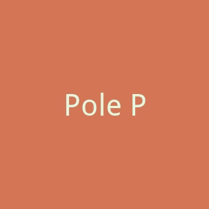 Pole Position Tackle UK 渔具海淘官网