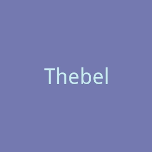 Thebelacan.com 家居装饰在线商店官网
