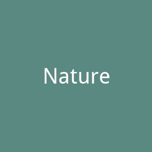Naturehike户外运动装备和户外休闲产品海淘网站官网