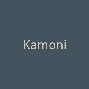 Kamoni 女士沙滩泳衣购物网站官网
