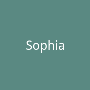 Sophia adult toys 蘇菲雅成人用品商城官网