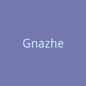 Gnazhee美国女性时尚高跟鞋海淘购物网站官网