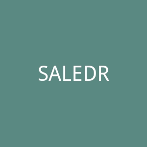 SALEDRESS 经济实惠的时尚女装购物网站官网