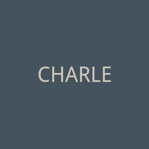 CHARLES & KEITH时尚品牌购物网站官网