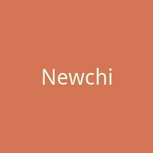 Newchic 时尚别致服装品牌购物网站官网