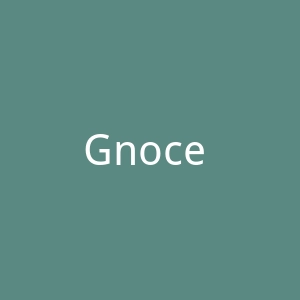 Gnoce 个性化珠宝品牌购物网站官网
