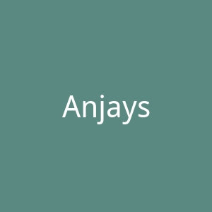 Anjays Design 钻石订婚戒海淘购物网站官网