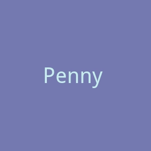 Penny + Grace 珠宝首饰商店购物网站官网
