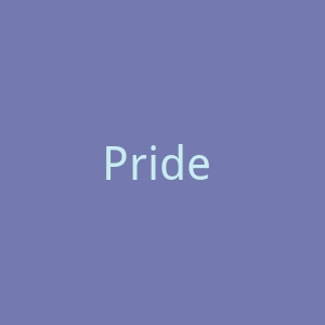 Pride Shack LGBTQ+ 海淘购物网站官网