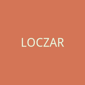 LOCZAR 时尚家居装饰亚马逊海淘官网