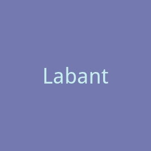 Labante 美国手袋，肩包品牌购物网站官网