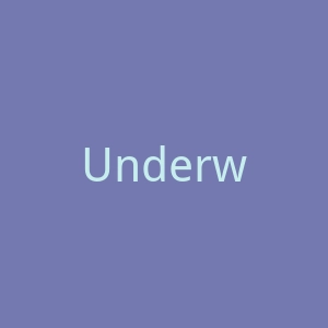 Underworks 美国内衣服装品牌购物网站官网