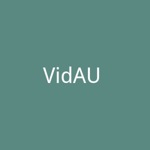 VidAU AI 人工智能平台官网