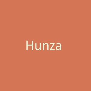 Hunza G 泳装品牌海淘购物网站官网