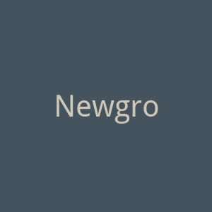 Newgrounds官网