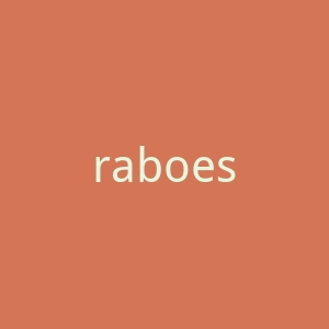 raboesy.com官网