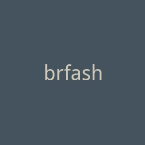 brfashionhub.com官网