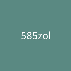 585zolotoy.ru官网