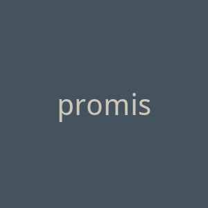 promisebyeffy.com官网