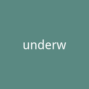 underworks.com-2官网